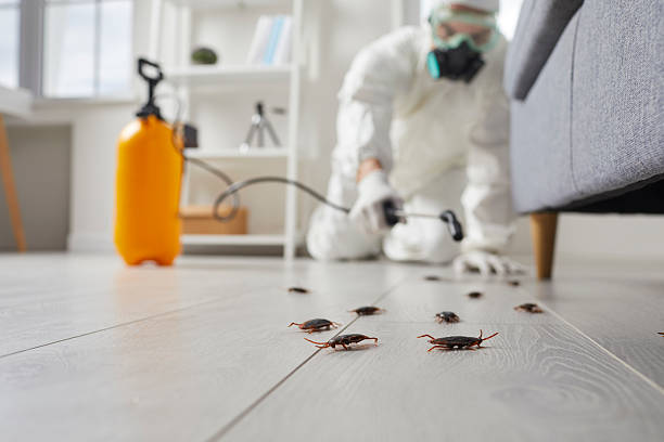 Commercial Kitchen Cockroach Control in Pierson